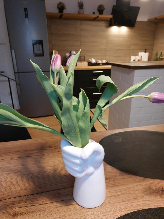 Apartament Mar&Mel Glucholazy Eksteriør billede